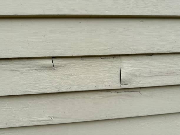 Trusted Lake Mills, IA Siding Installation Experts